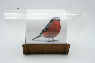 Авторская кормушка для птиц "Снегирь 3D"